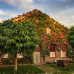 Künstlerzeche Unser Fritz 2/3